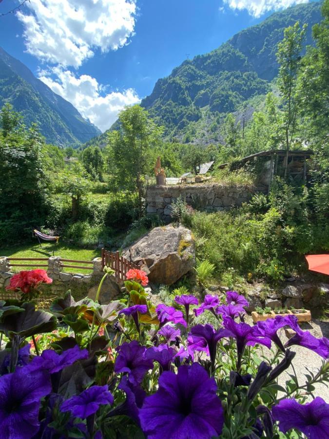 Ecrins